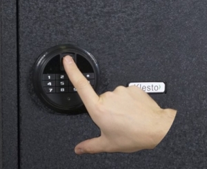 ���� � �������������� ������ Klesto RS bio-65T